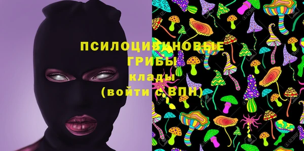 бошки Волоколамск