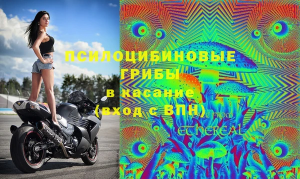 дживик Володарск