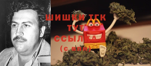 дживик Володарск