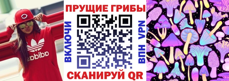 купить наркоту  Елабуга  маркетплейс клад  Псилоцибиновые грибы Cubensis 