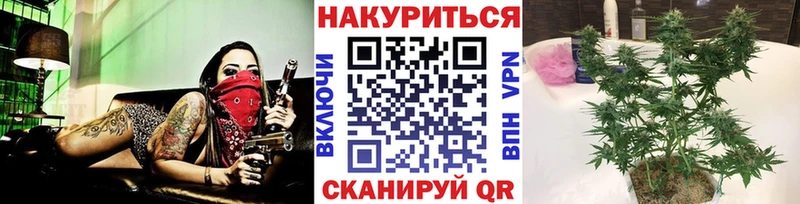Бошки марихуана ГИДРОПОН  МЕГА как войти  Елабуга  купить  